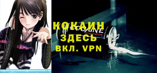 прущий лед Алзамай