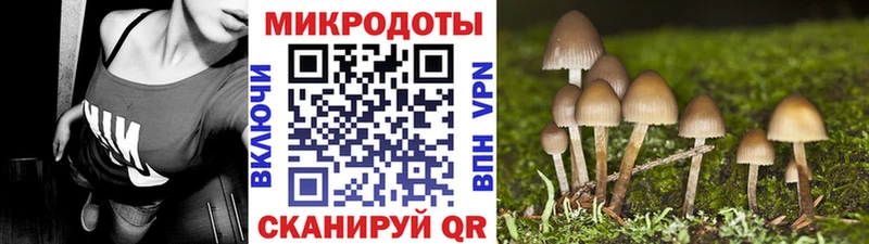 как найти закладки  Новомосковск  Псилоцибиновые грибы ЛСД 