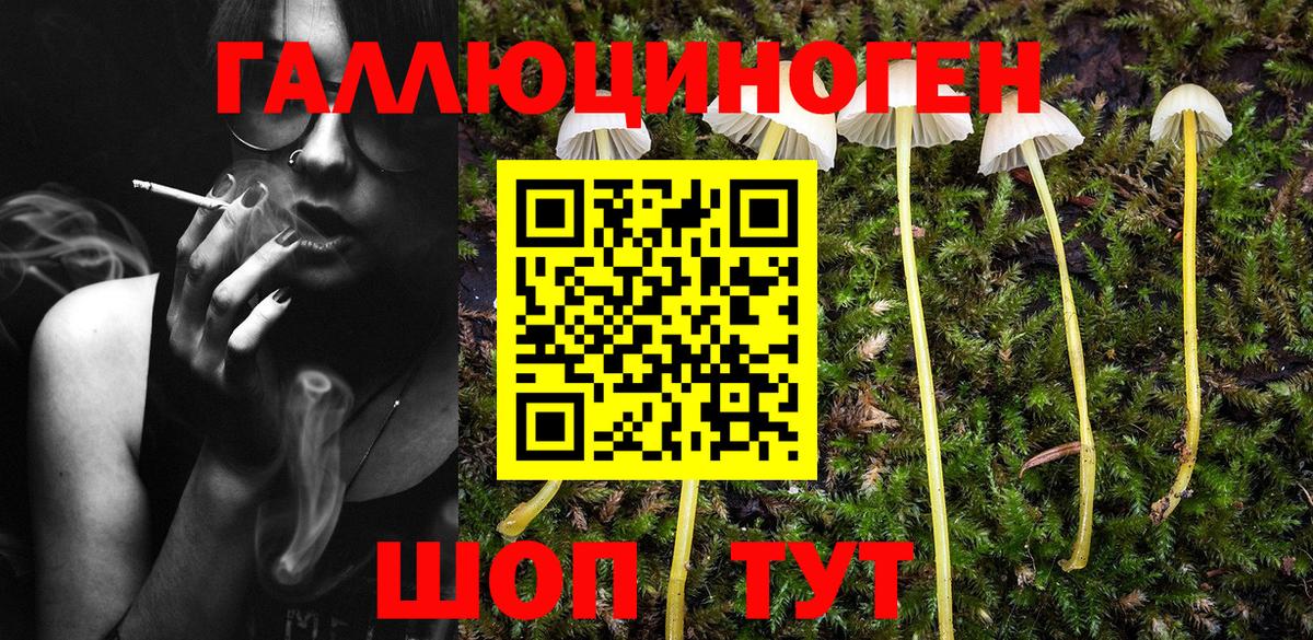 Галлюциногенные грибы мухоморы  Галлюциногенные грибы Psilocybine cubensis  Вход с VPN  Новомосковск 